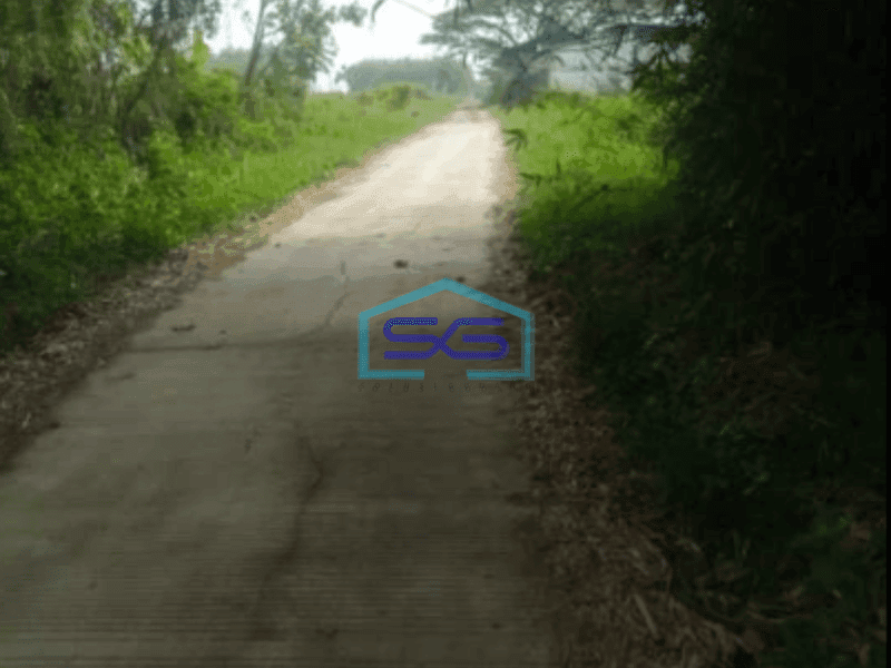 Dijual Tanah lahan industri lokasi Pedan Klaten luas 6685m2