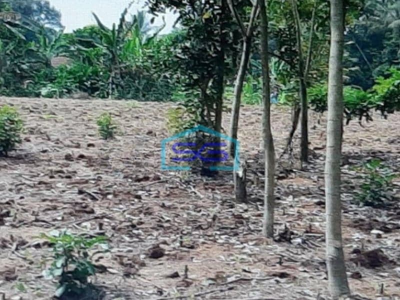 Dijual Tanah Di Bojong Gede Bogor Sangat Strategis LT 4361m2