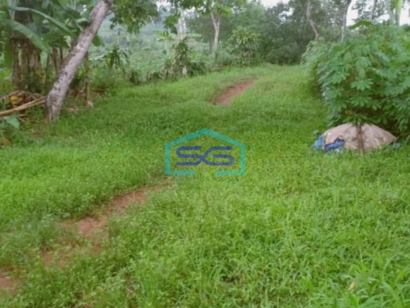 Dijual Tanah di Pingir Jalan Raya Provinsi Lewiliang Rumpin Bogor Luas Tanah 50000m2