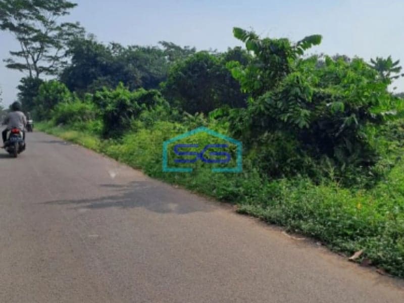 Dijual Tanah Kontur Datar di Jalan Raya Cibodas Rumpin Bogor Luas Tanah 3500m2