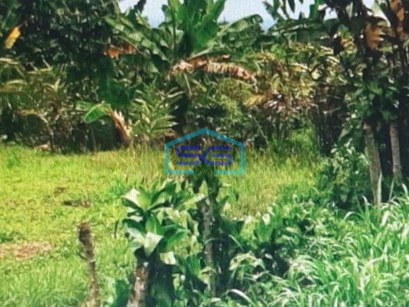 Dijual Tanah Di Tamansari Bogor LT 3735m2