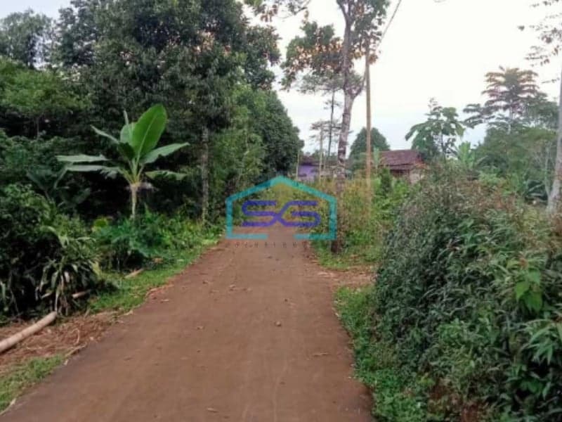 Dijual Tanah Di Sukatani Bogor Luas Tanah 200000m2 SHM
