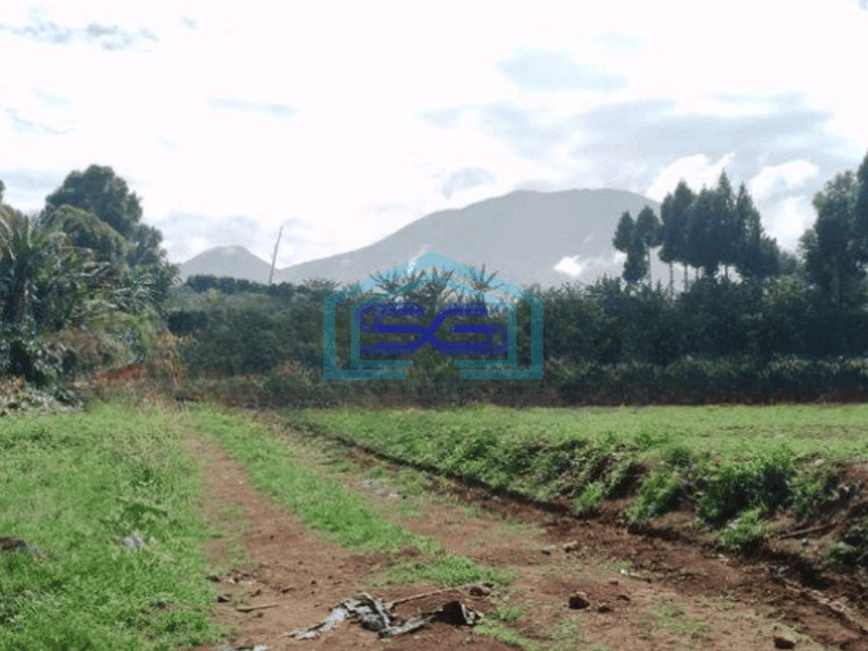 Dijual Lahan tanah 53 hektar di Belakang Trans TV Sukabumi, Sukaraja