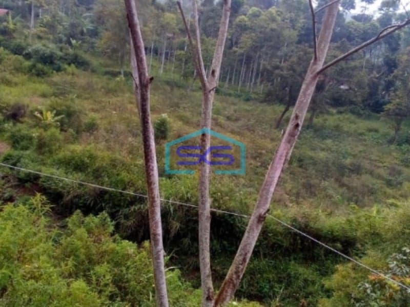 Dijual Tanah DI Cibodas Ciwidey Bandung Luas Tanah  20000 m2