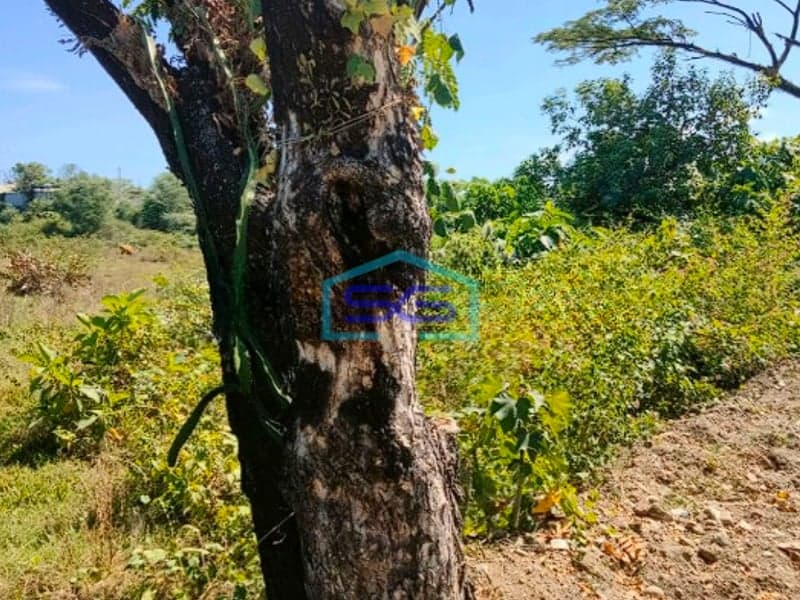 Dijual Tanah Industri 1 hectare di Pattene, SHM Makassar Siap Bangun