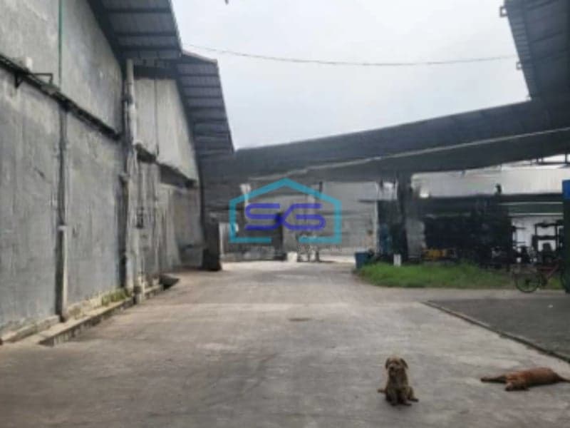 Dijual Gudang Ex Pabrik Luas Bangunan  5281 m² Lokasi Jatu Uwung Tangerang