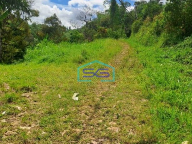 Dijual Tanah di Jalan Terobosan Cipayung Megamendung Bogor LT 120000m2