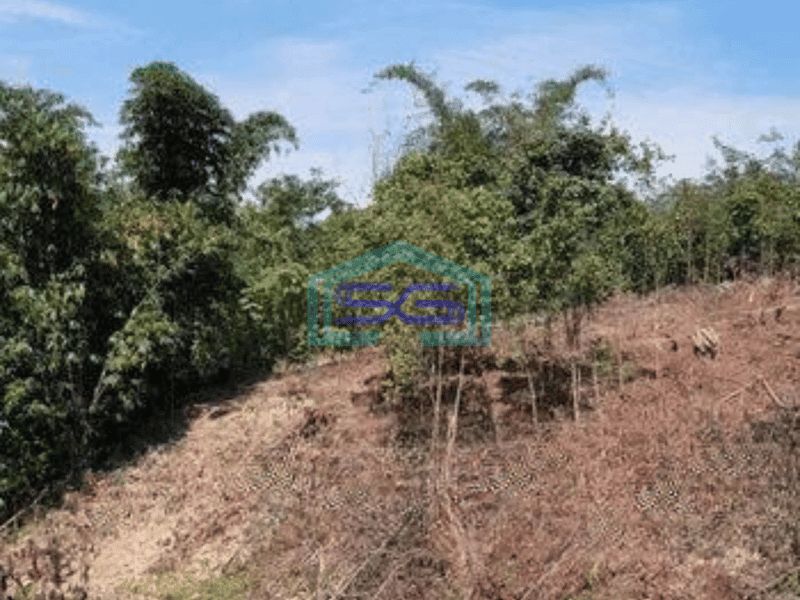 Dijual Tanah Bisa Untuk Gudang Harga Murah di Cipanas Lebak Banten