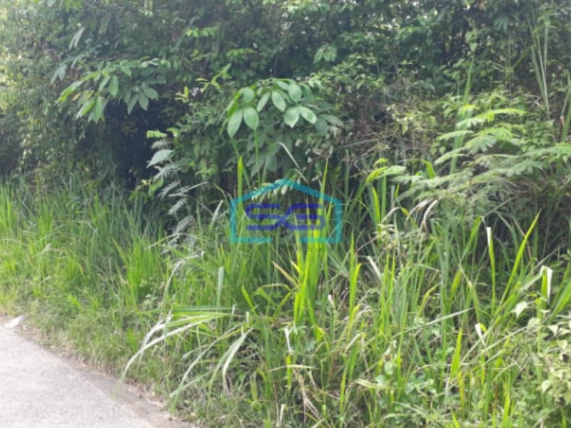 Dijual Murah Tanah Indralaya Jalintim Palembang Prabumulih Sumatera Selatan LT 19980m2