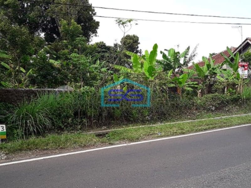 Dijual Tanah Murah di Desa Ciseutik Dekat Tugu Cagak Subang LT 3110m2