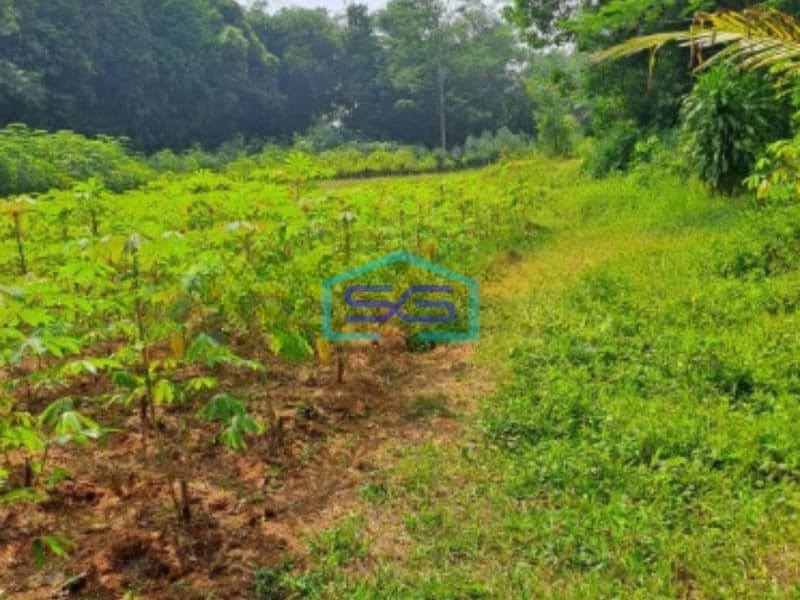 Dijual Tanah Di Tamansari Rumpin Bogor Luas Tanah 2650m2