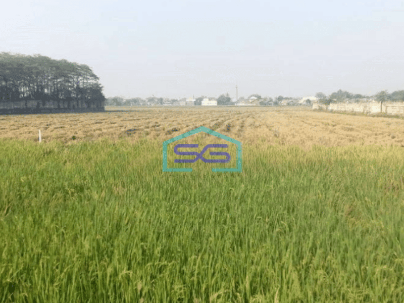 Dijual Tanah Lokasi Strategis Pinggir Jalan Raya Karawang Barat Luas Tanah  57000 m²