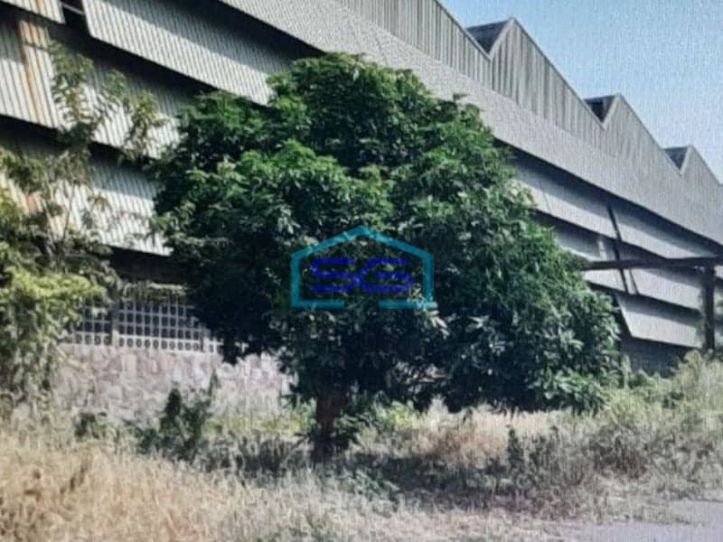 Dijual Gudang di Kaliwungu Kendal Lokasi Strategis Akses Bagus Dekat Tol LT 71626m2