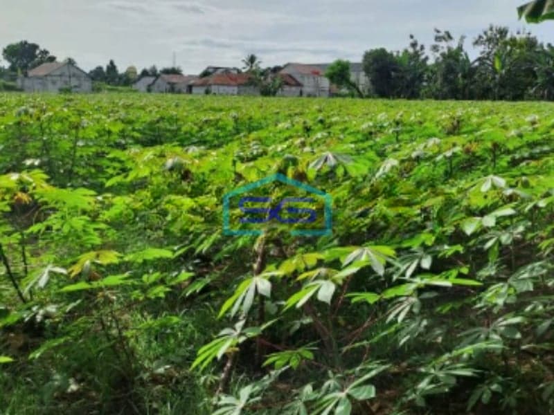 Dijual Tanah Ciseeng Bogor di Pinggir Jalan Raya Luas Tanah 27000m2