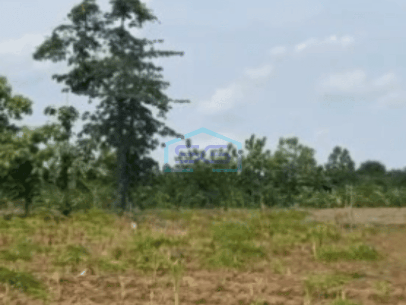 Dijual Tanah Kawasan Kertajati Jawa Barat Luas 30000m²