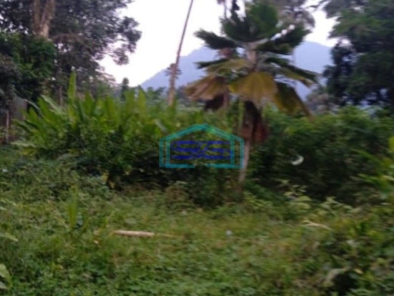 Dijual Tanah Sentul City Desa Bojongkoneng Bogor Luas Tanah 10000m2