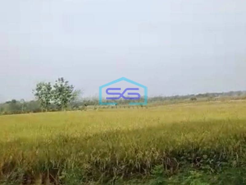Dijual Tanah Zona Industri Daerah Sragen LT 3500m2