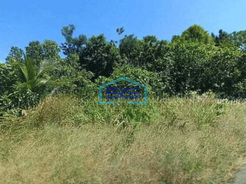 Dijual Tanah Di Pulau Maratua Berau Luas Tanah 18409 m²