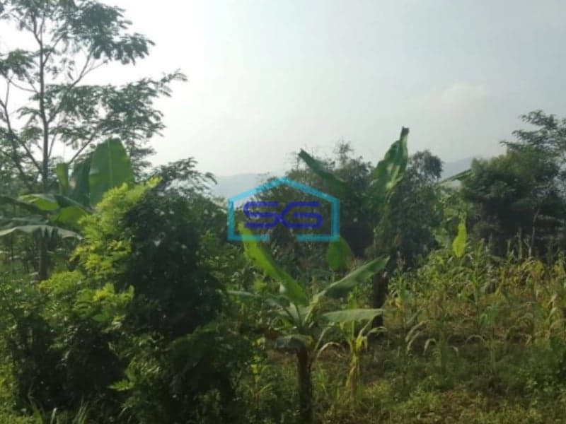 Dijual Tanah Sukaresmi Cianjur Lokasi Strategis LT 350000m2