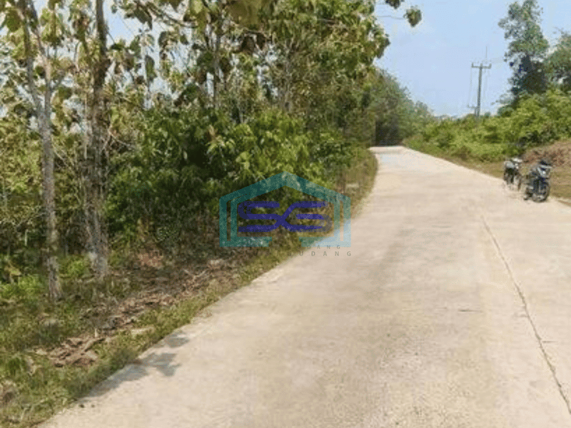 Dijual Tanah Cocok Untuk Gudang di Sindang Sari Sajira Lebak Banten