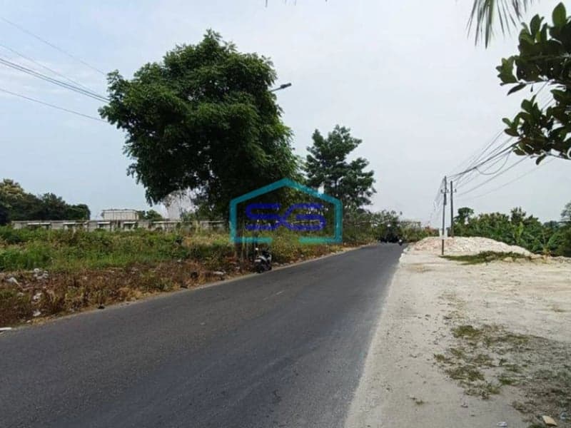 Dijual Tanah Murah Jl Raya Area Manyar Gresik Dekat Pelabuhan Sudah Urug Tinggi Cocok Gudang Dan Ruko Usaha