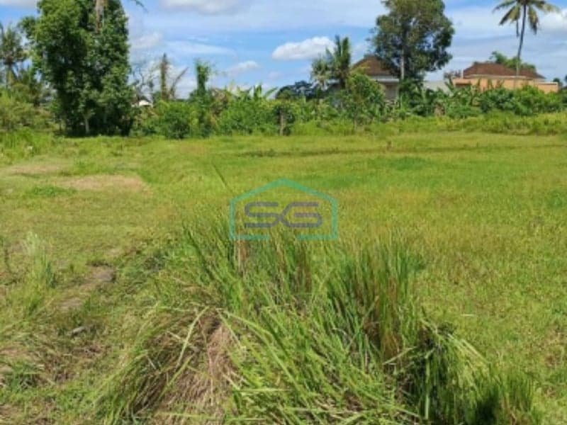 Dijual Tanah Cocok Bisnis Zona Kuning Siap Bangun di Ubud Gianyar Bali Luas Tanah 3500m2