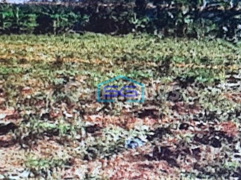 Dijual Tanah Di Megamendung Bogor LT 9956m2