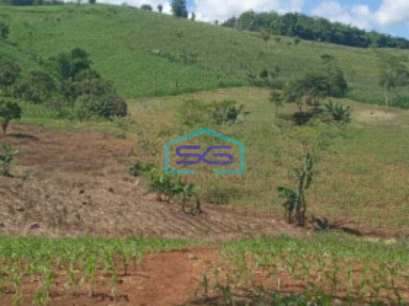 Dijual Tanah Bantarkalong Warung Kiara Sukabumi Jawa Barat LT 30000m2