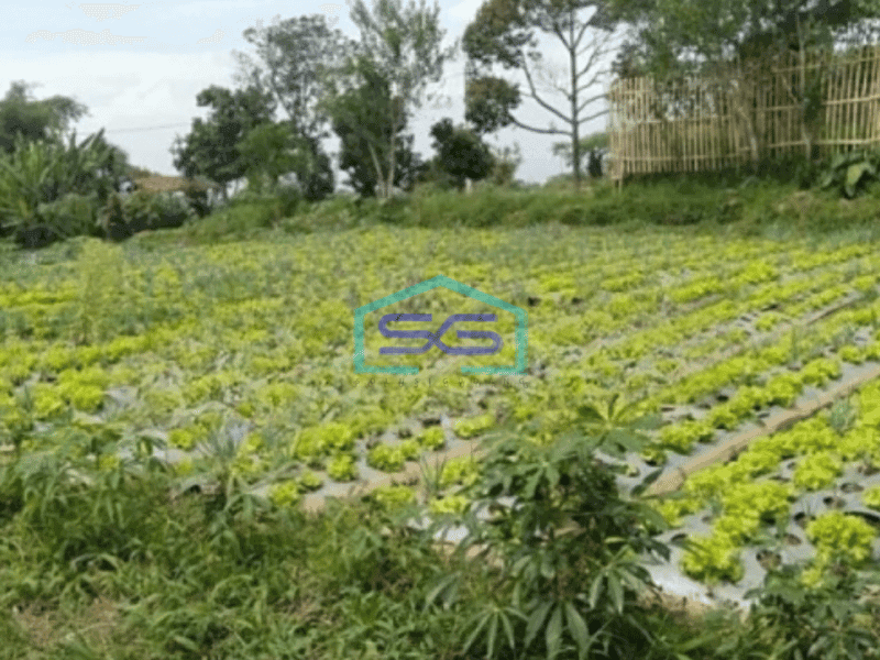 Dijual Tanah Cepat Di Katumiri Luas Tanah 3470 m² Bandung