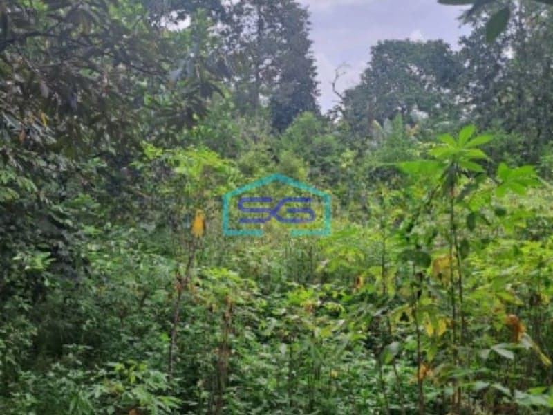 Dijual Tanah Di Cibinong Pinggir Jalan Raya Gor Pemda Bogor Luas Tanah 2500m2