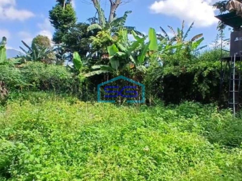 Dijual Tanah Harga Murah di Baturiti Tabanan Bali Luas Tanah 2780m2