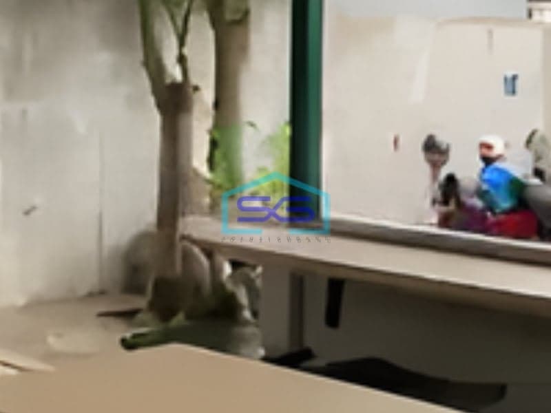 Disewakan Ruang Usaha Di Kawasan Kuliner Dan Sekolah Di Mlati Sleman Jogja Luas Bangunan 410 m²