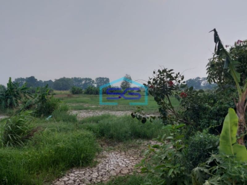 Dijual Tanah Strategis di Lokasi Pegayut Pemulutan Ogan Ilir Sumatera Selatan LT 50425m2