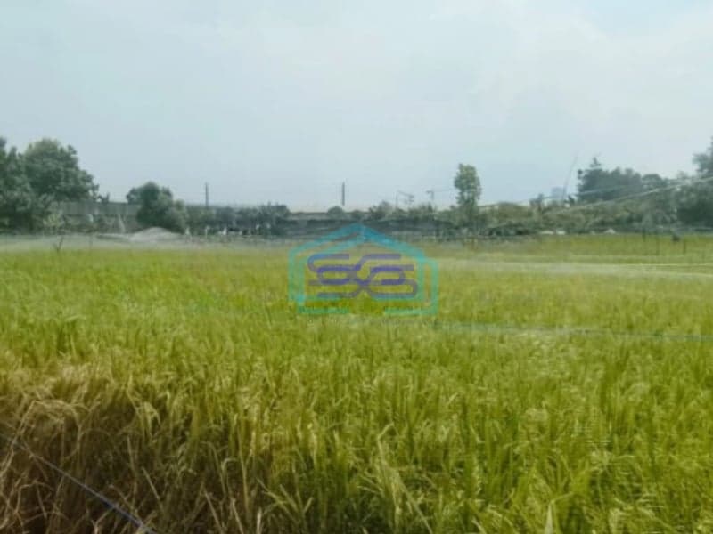 Dijual Tanah SHM murah seluas 14.000m2 di Suka Danau Bekasi Luas Tanah  14000 m²