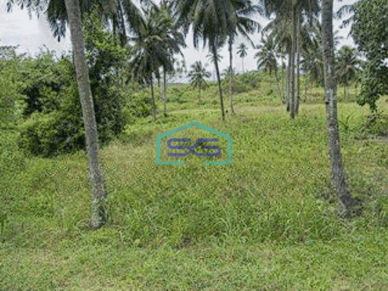 Dijual Tanah 2 Ha Di Kema Minahasa Utara Cocok Buat Industri Dan Gudang