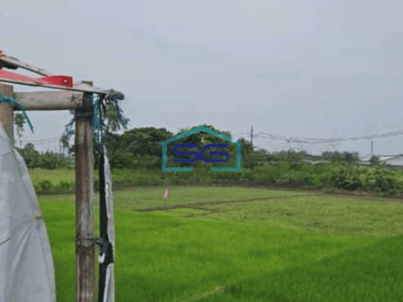 Dijual Gudang Jaten Karanganyar Luas Tanah 10000m2