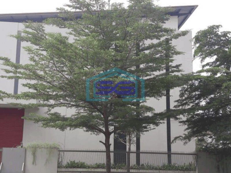 Disewakan Gudang baru siap usaha di BSD Taman Tekno