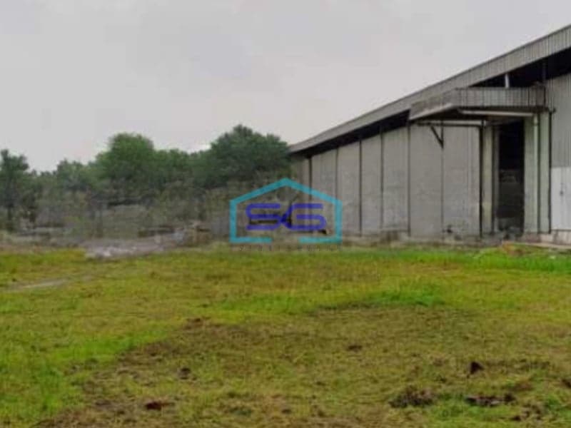 Dijual Gudang Luas Tanah  28.500 m² Lokasi Bebas Banjir di Lebak Banten