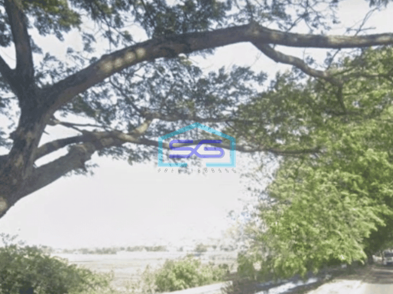 Dijual Tanah Luas 12000 m²  di Jalan Raya Babakan Tangerang