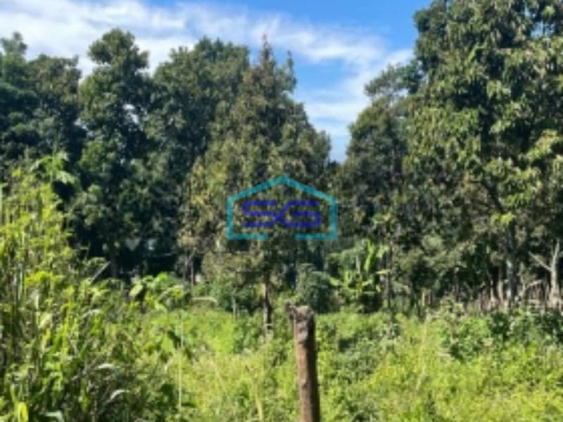 Dijual Tanah Strategis Di Ciumbuleuit Bandung Cocok Untuk Usaha LT 7000m2