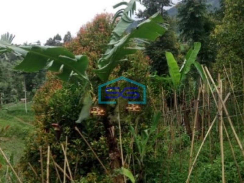 Dijual Tanah di Cisarua Bandung Barat Luas Tanah 4500m2