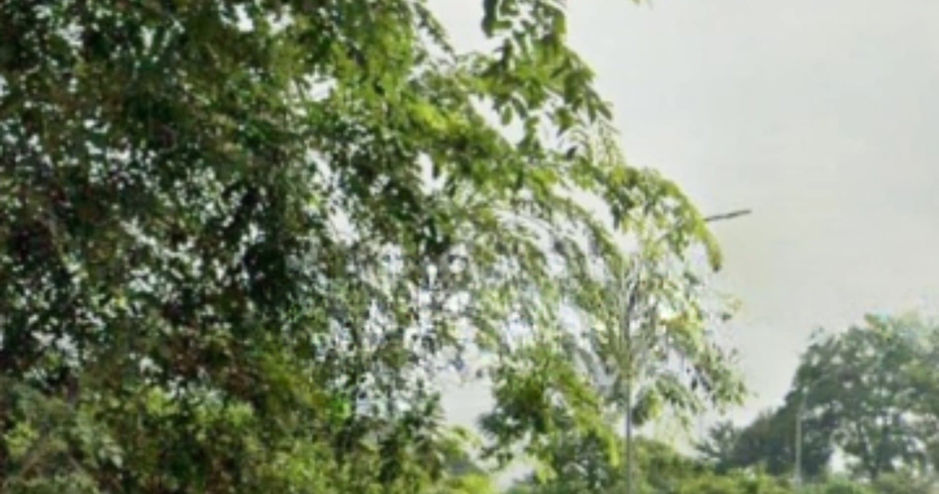 14,000 sqm Large Land for Sale Flood-Free Location in Tangerang