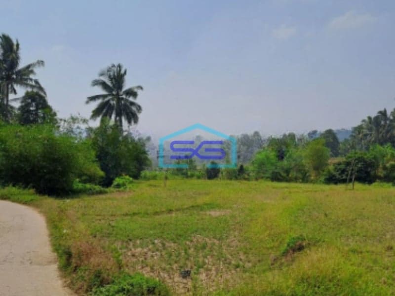 Dijual Tanah Lokasi di Pabuaran Bogor Jawa Barat LT 1200m2