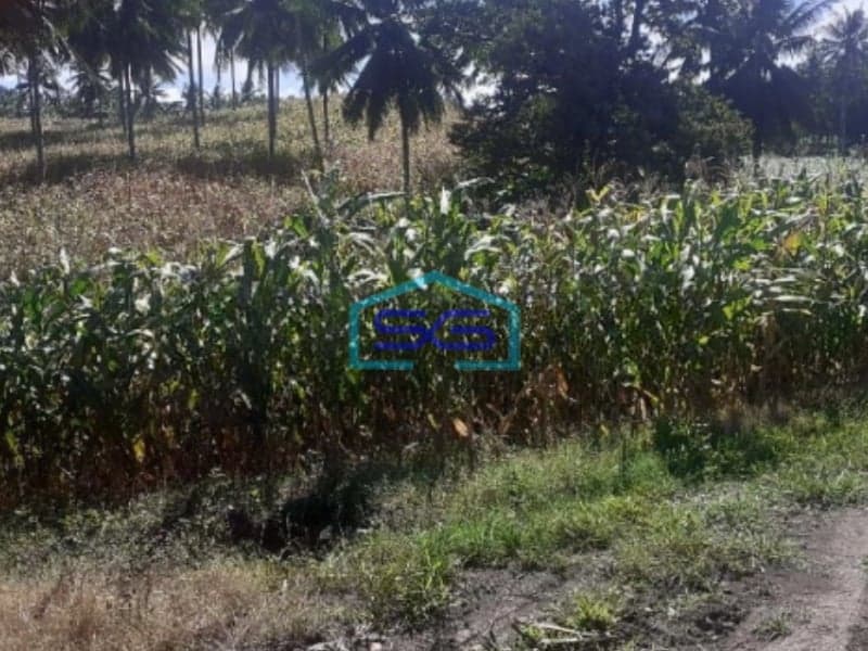 Dijual Tanah di Belakang Pabrik Coca Cola Kauditan Pas For Pabrik Kauditan, Minahasa Utara Luas Tanah 35000m2