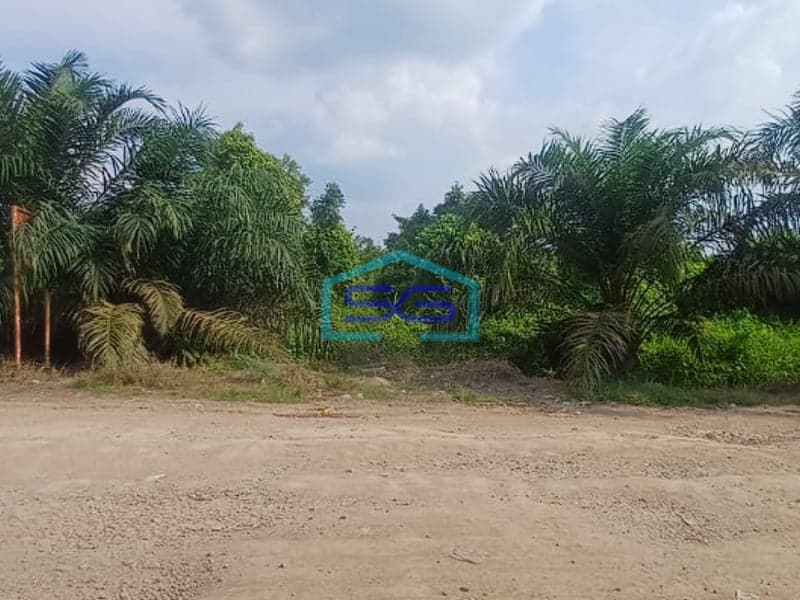 Dijual Tanah di Dekat Jembatan Gasing, Tanjung Api-Api Banyuasin Sumatera Selatan Strategis LT 68000m2