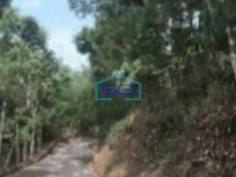 Dijual Tanah di Mekar Wangi Bandung Luas 50000m²