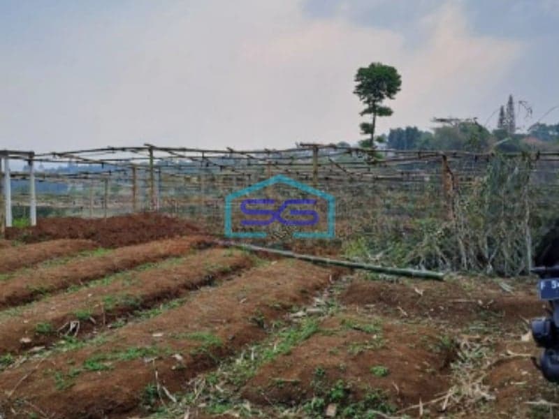 Dijual Tanah di Desa Gunung Gelis Sukaraja Bogor Luas Tanah 25000m2