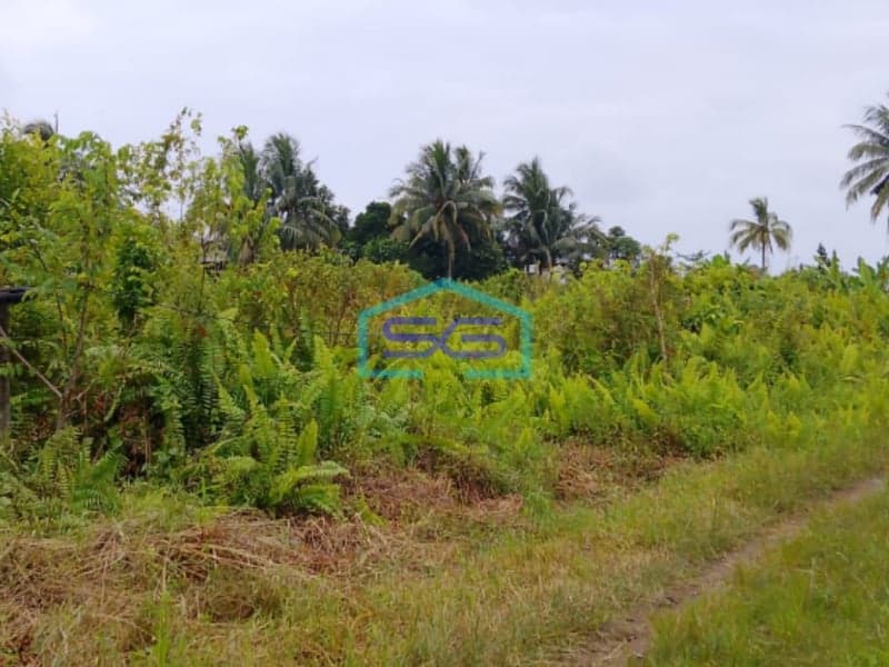 Dijual Tanah Di Talang Keramat Banyuasin Sumatera Selatan LT 22000m2