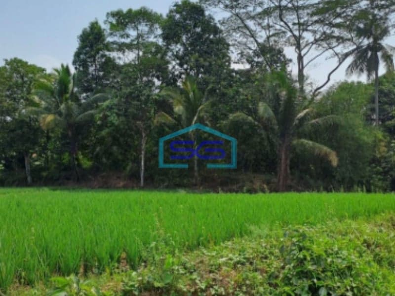 Dijual Tanah Lokasi di Pabuaran Bogor Jawa Barat LT 1200m2