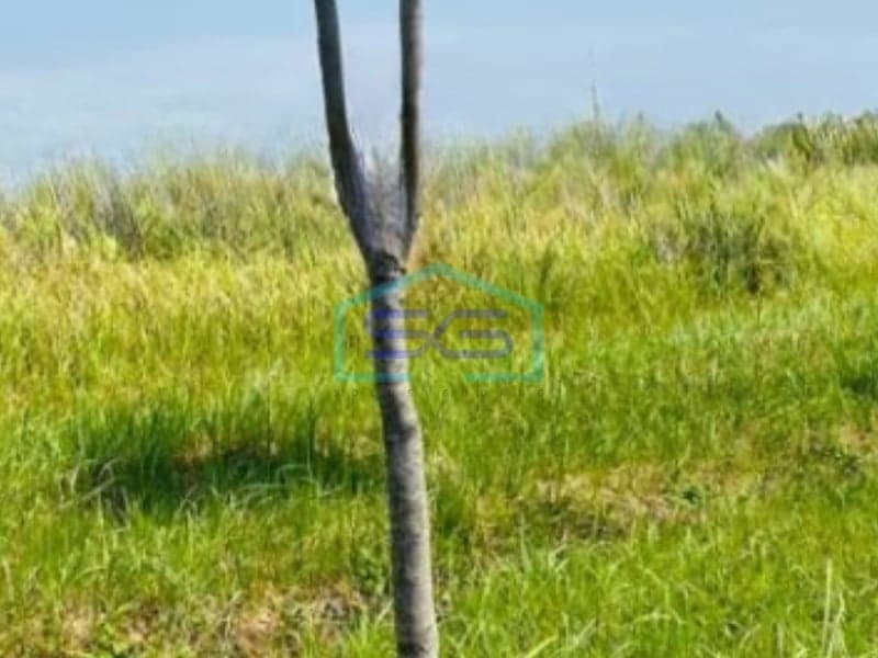Dijual Tanah Luas 35000 m² Lokasi di Karawang Jawa Barat